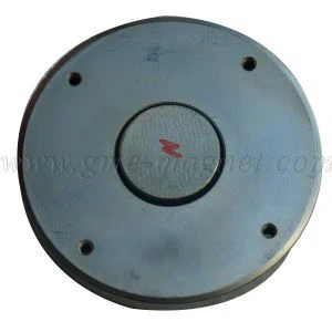 Lautsprechertreiber mit magnetischem Pfad und Magnetkreis